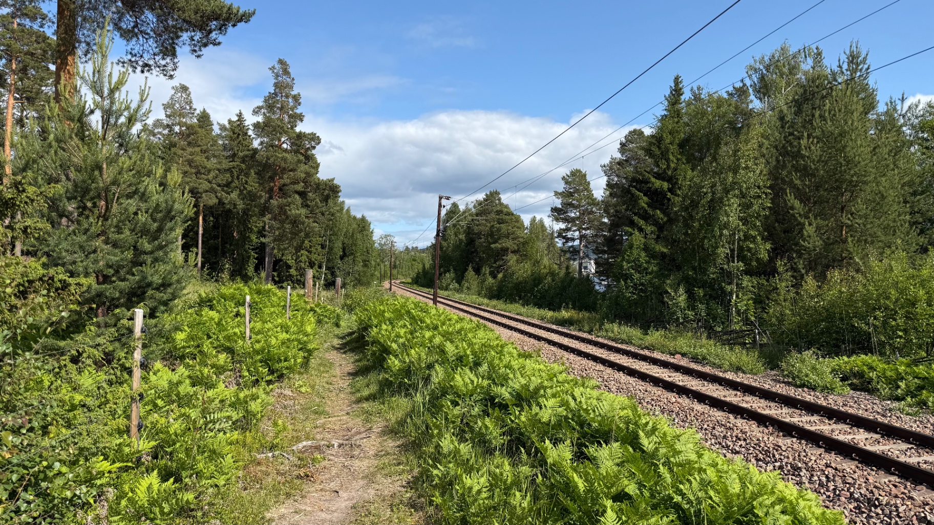 Old rail line cutting through farmland. The route follows abandoned tracks in places.
